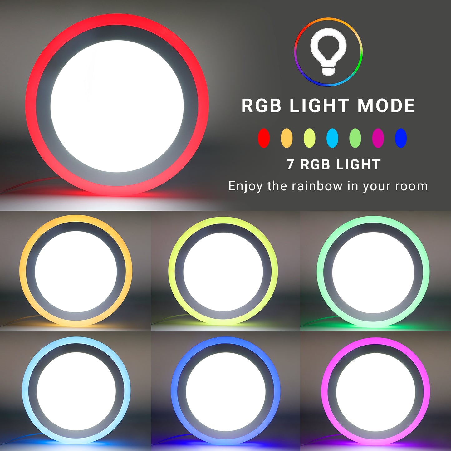 ITSPhil Google/Alexa Ceiling Light